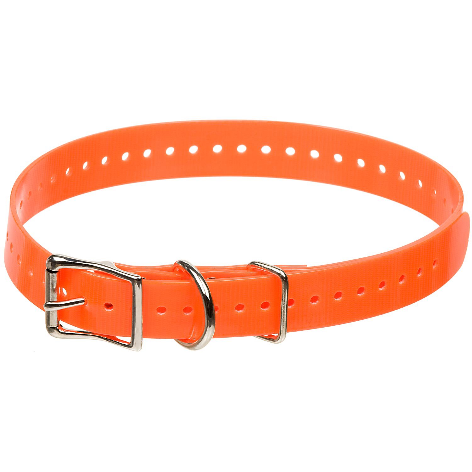 SportDOG Blaze Orange 1" Dog Collar | Petco