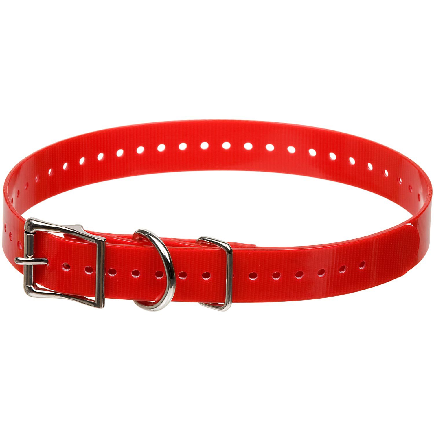 SportDOG Red 1" Dog Collar | Petco
