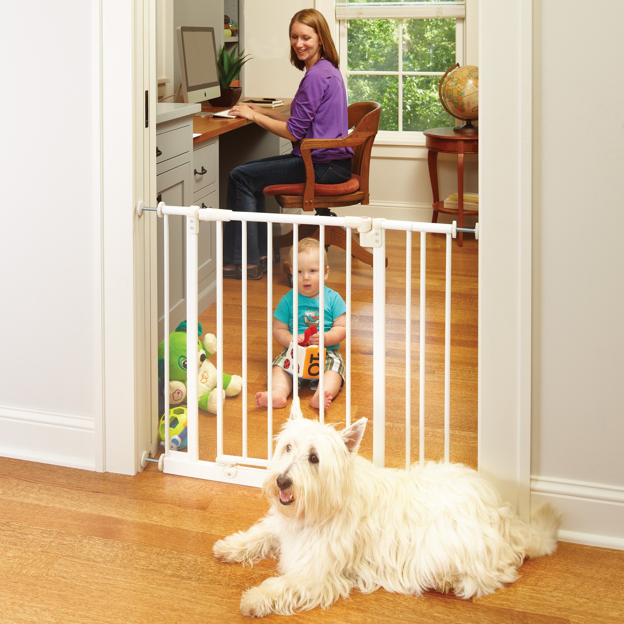 petco dog gates