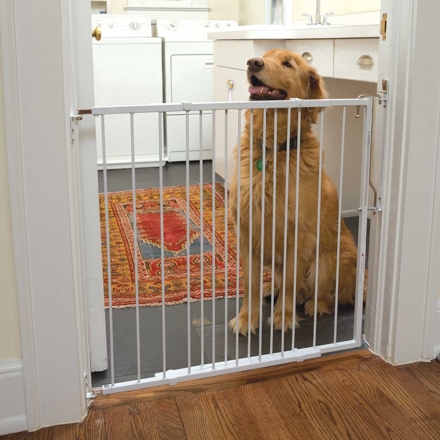 Cardinal Gates White Duragate Pet Gate | Petco