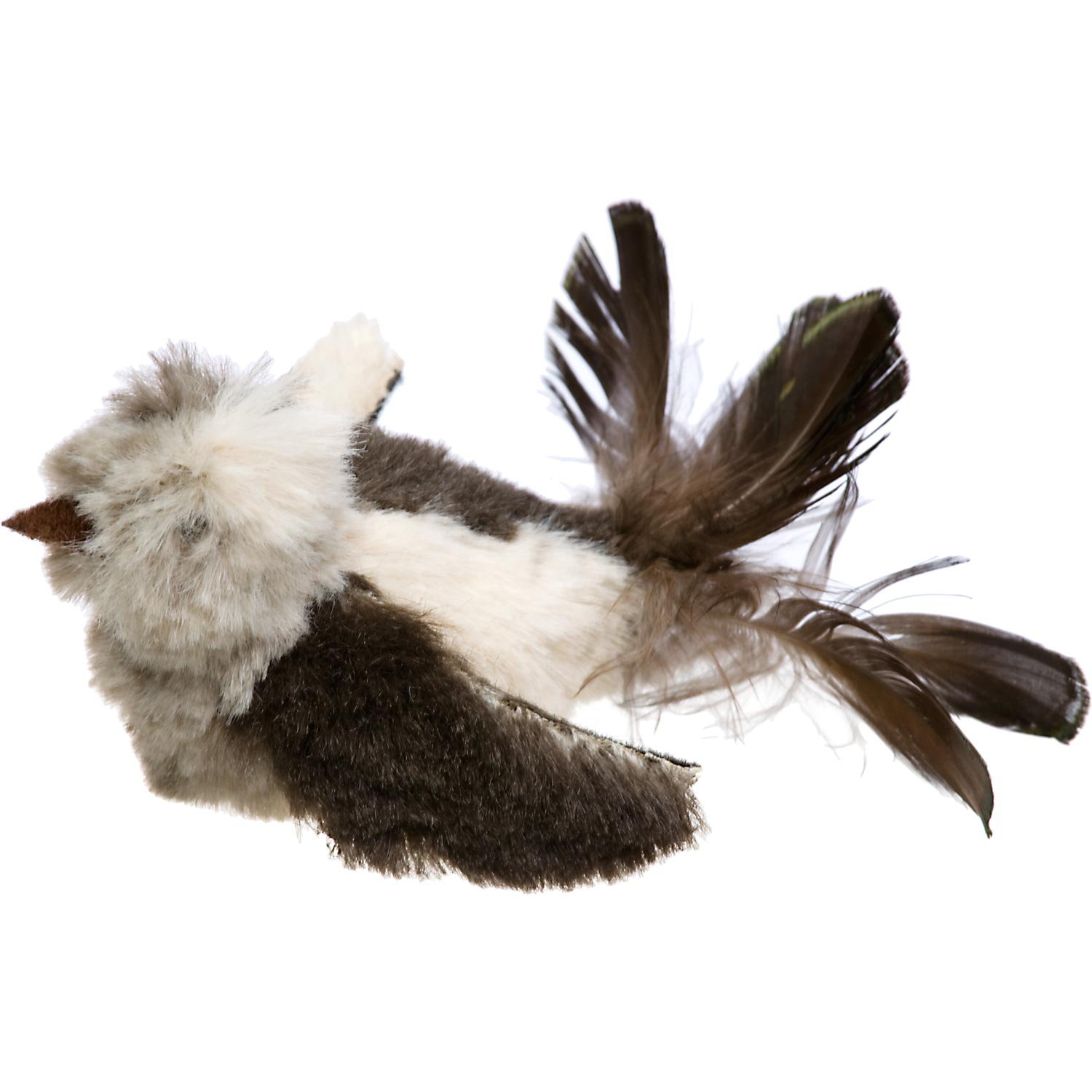 Our Pet S Play N Squeak Backyard Bird Cat Toy Petco