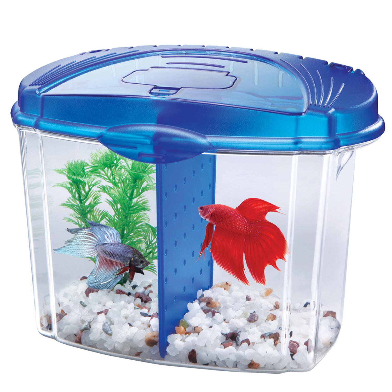 UPC 015905012065 product image for Aqueon Betta Bowl Aquarium Kit in Blue (8.5