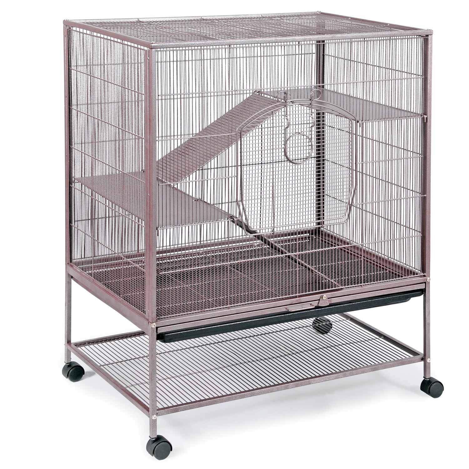 bird cage to rat cage