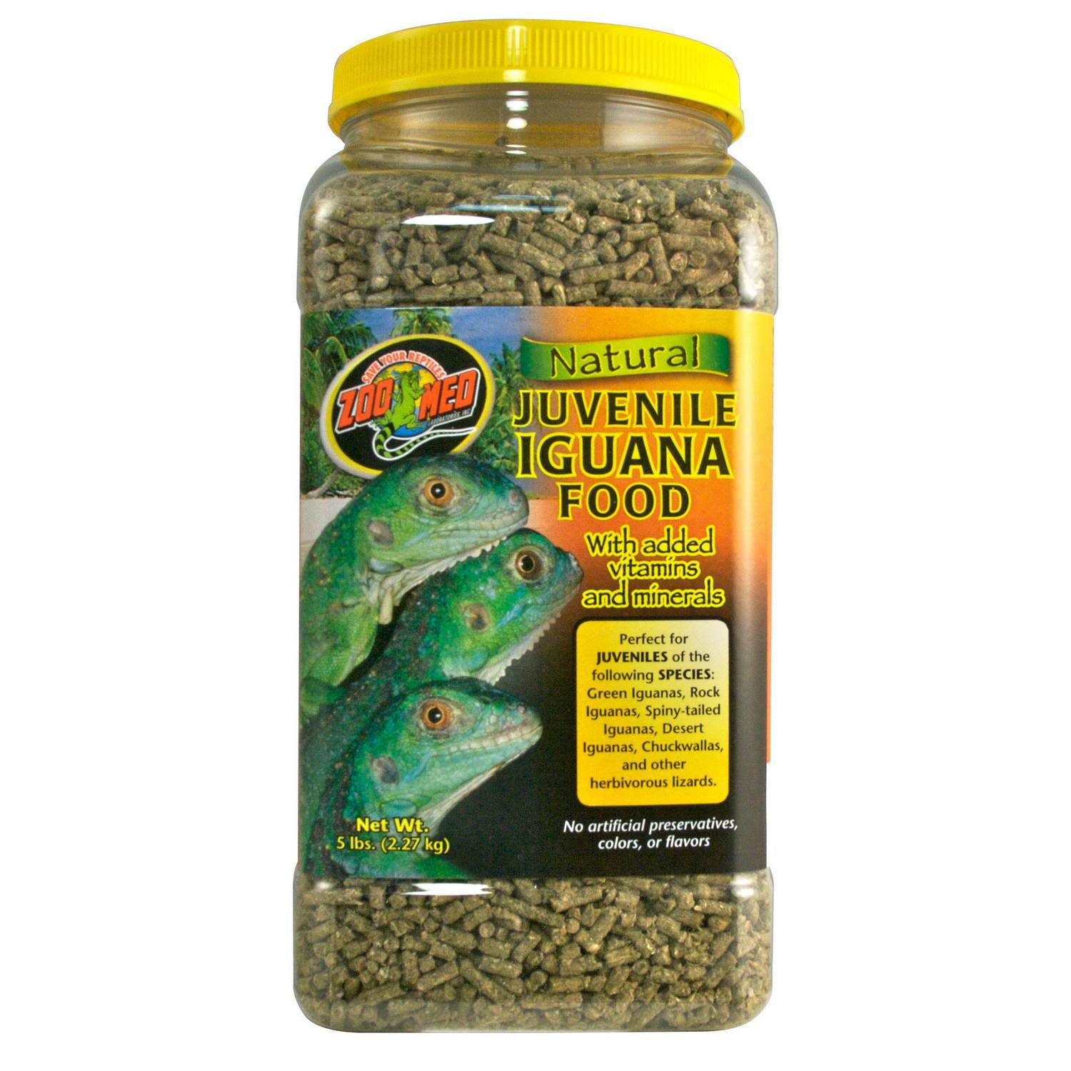 Unleash the power of feeding your iguana with the best dog food: Top 10 ...