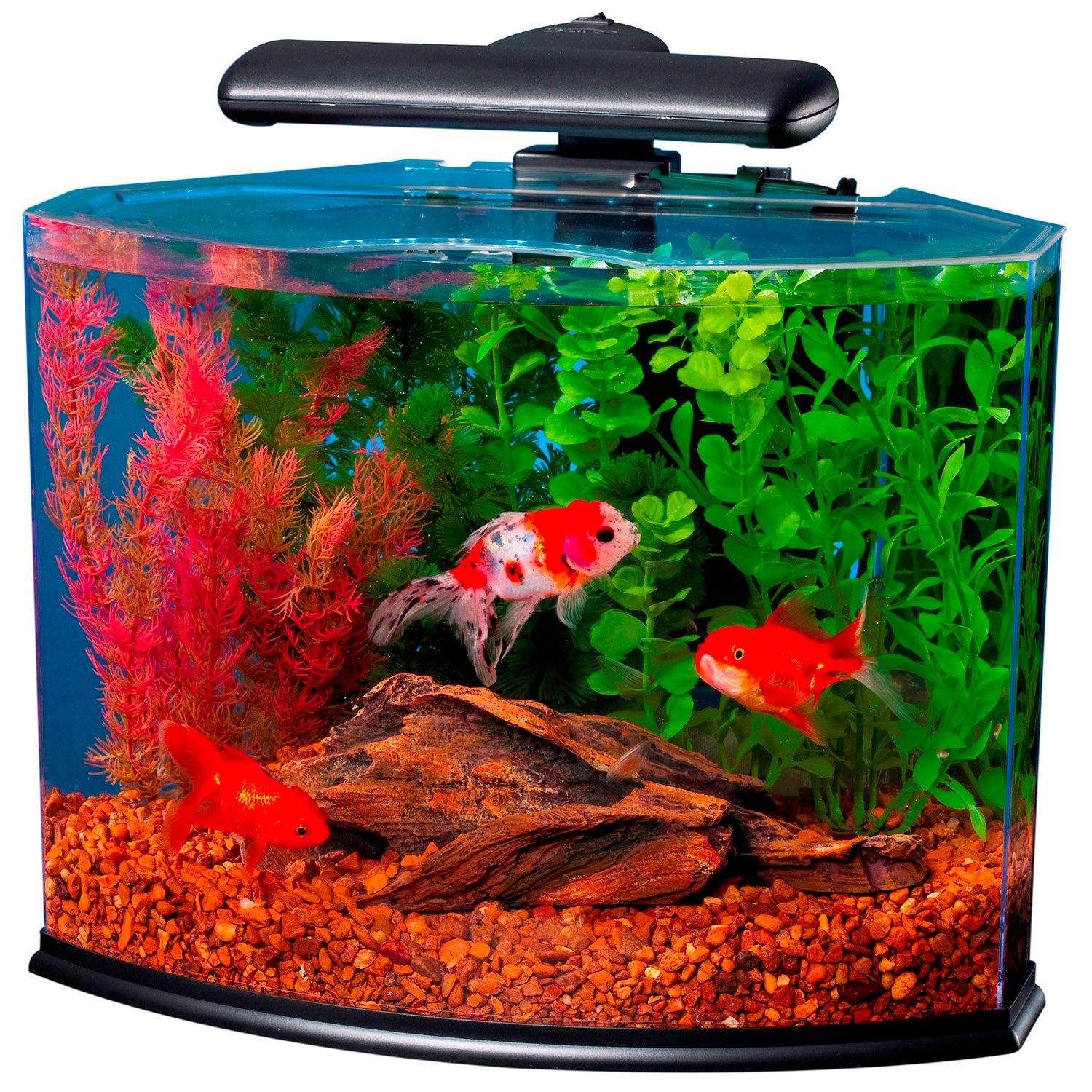 Tetra Crescent Desktop Aquarium Kits - 1397958 Left 1