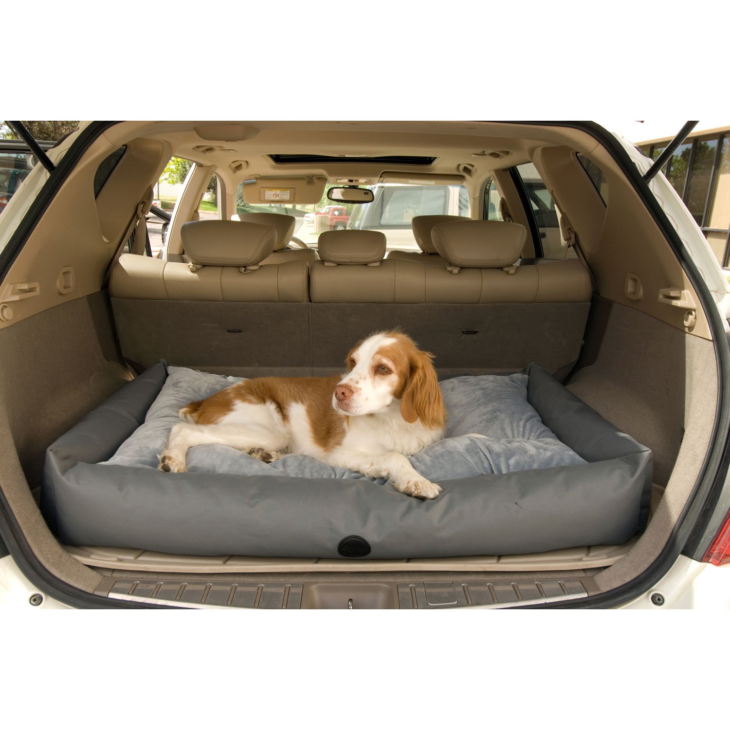 travel dog bed