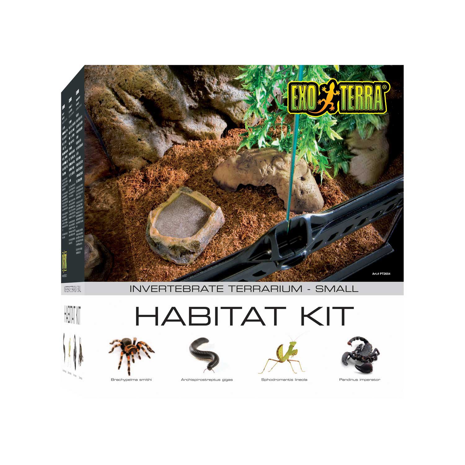 ExoTerra Invertebrate Glass Terrarium Kit Petco