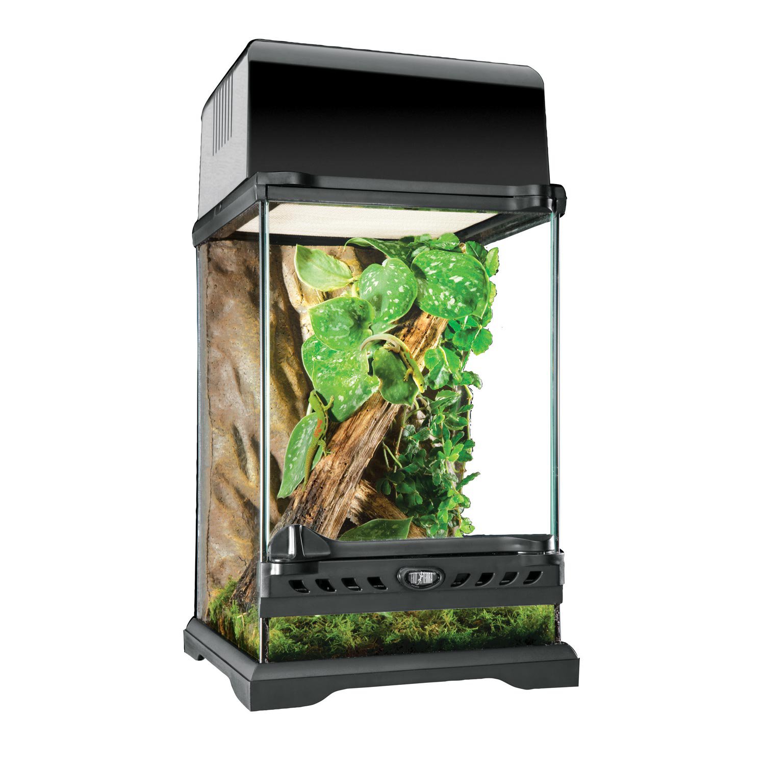 Exo Terra Nano Glass Terrarium 8 L X 8 W X 12 H Petco