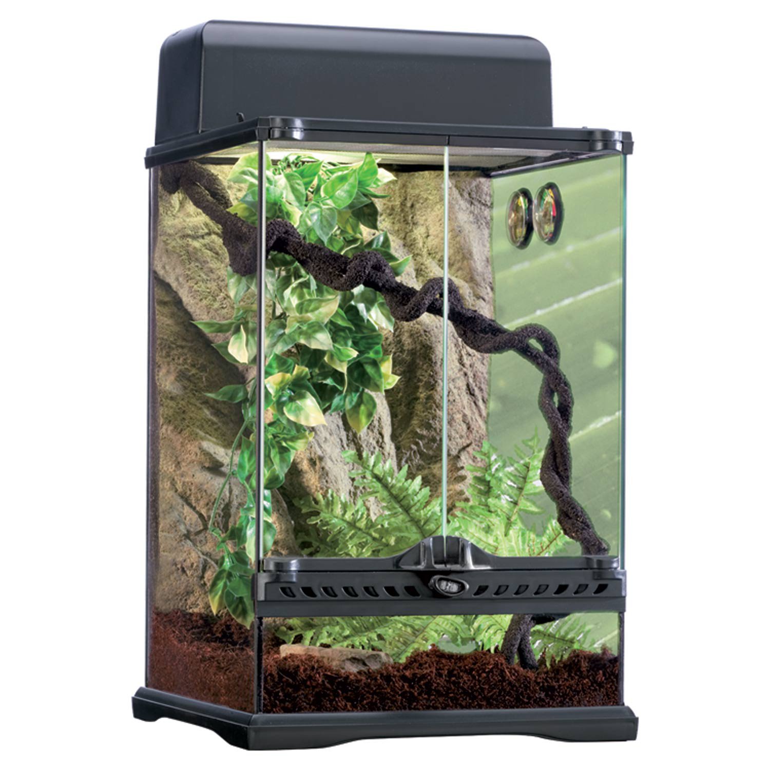 Exo Terra Rainforest Reptile Terrarium Kit Small Petco