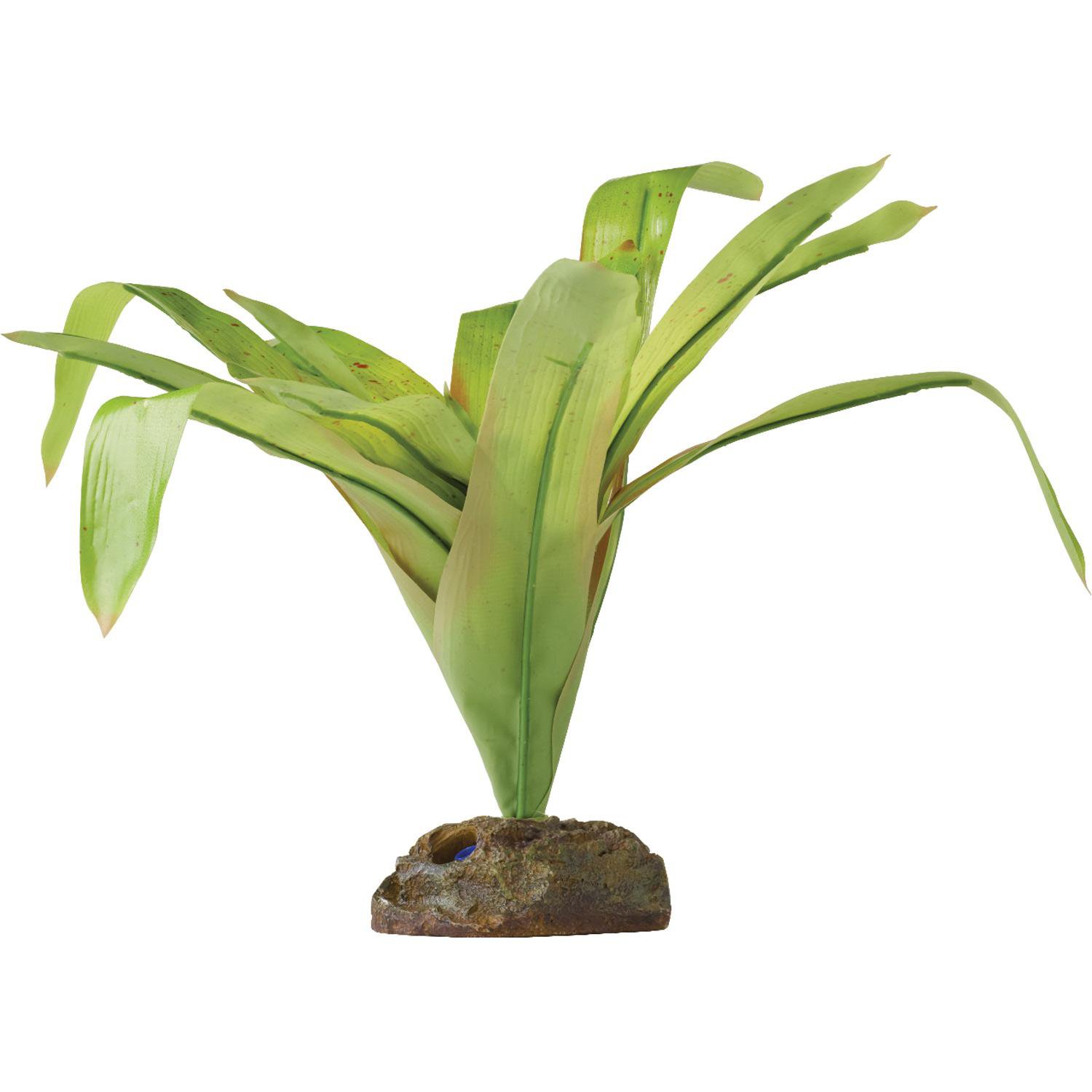 ExoTerra Smart Plant Dart Frog Bromelia Terrarium Plant Petco