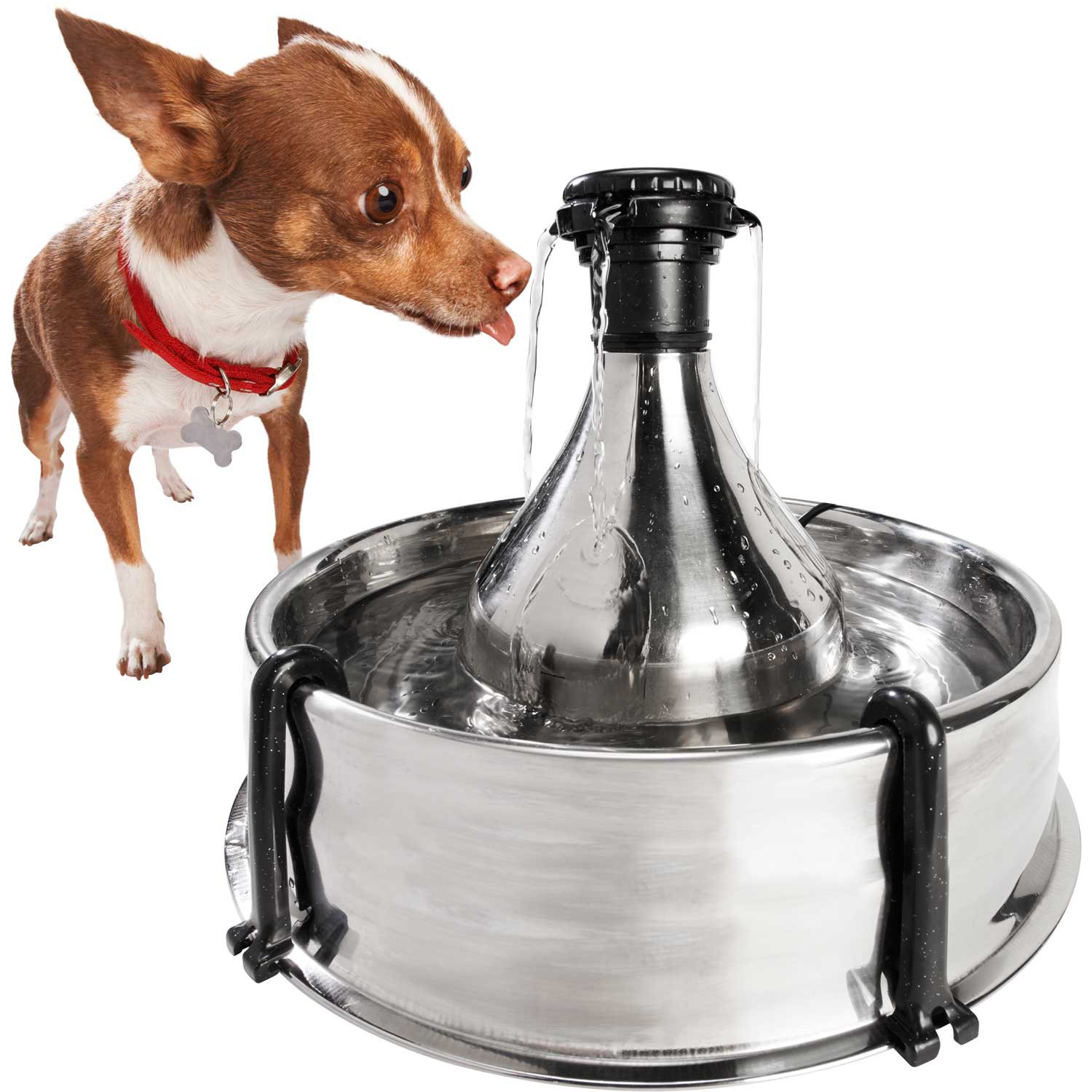 PetSafe Drinkwell 360 Stainless Steel 