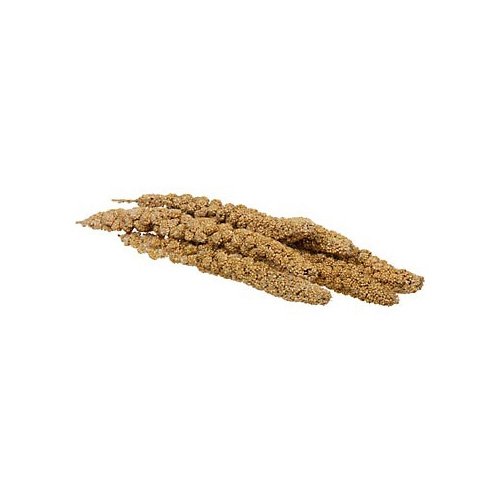 Healthy Select Spray Millet Petco