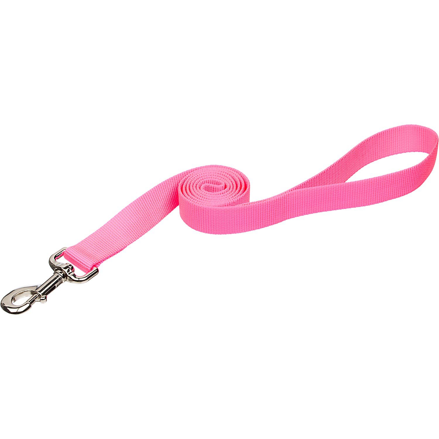 Coastal Pet Nylon Personalized Dog Leash in Neon Pink, 3/8" Width Petco