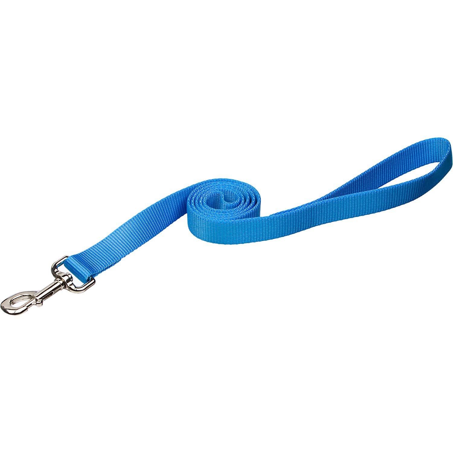 Coastal Pet Nylon Personalized Dog Leash in Light Blue, 4' L X 5/8