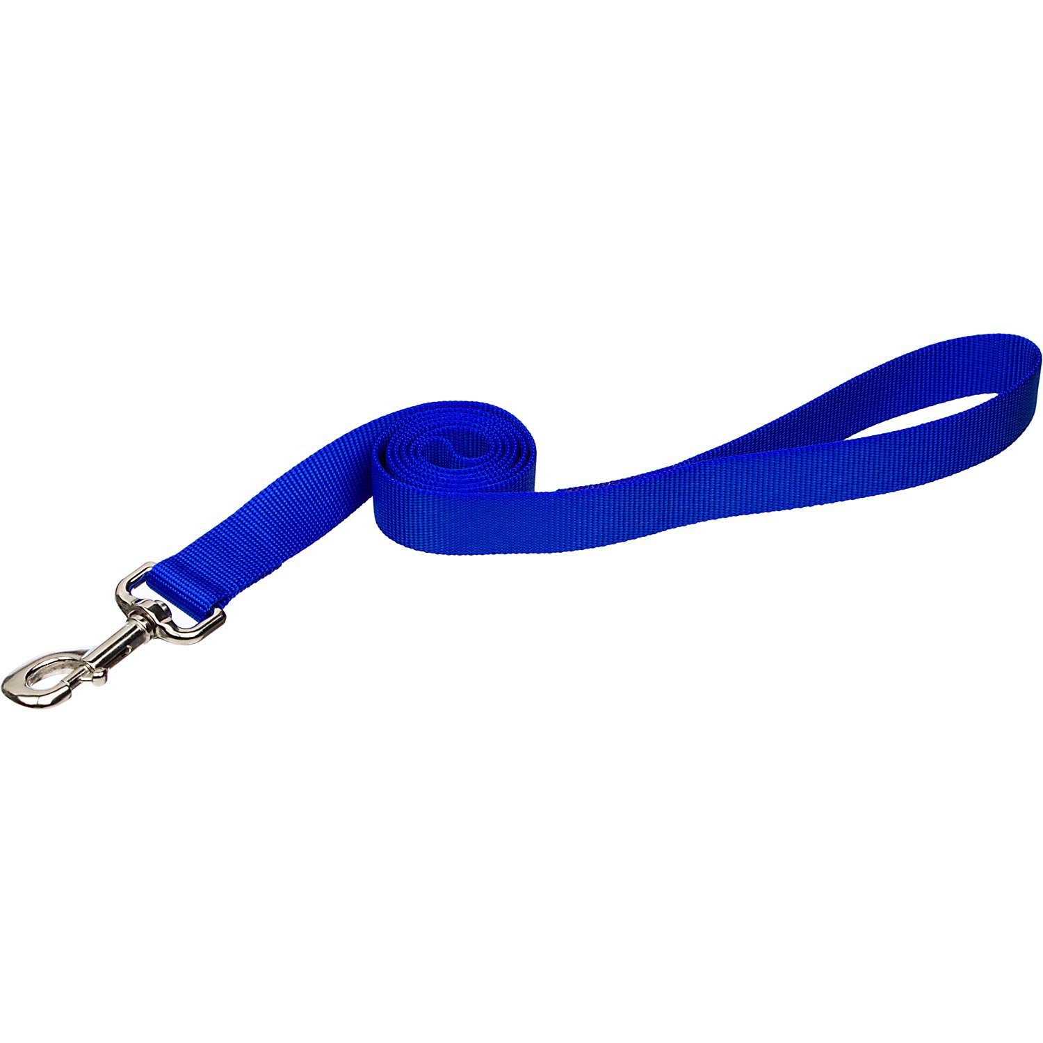 Coastal Pet Nylon Personalized Dog Leash in Blue, 3/8