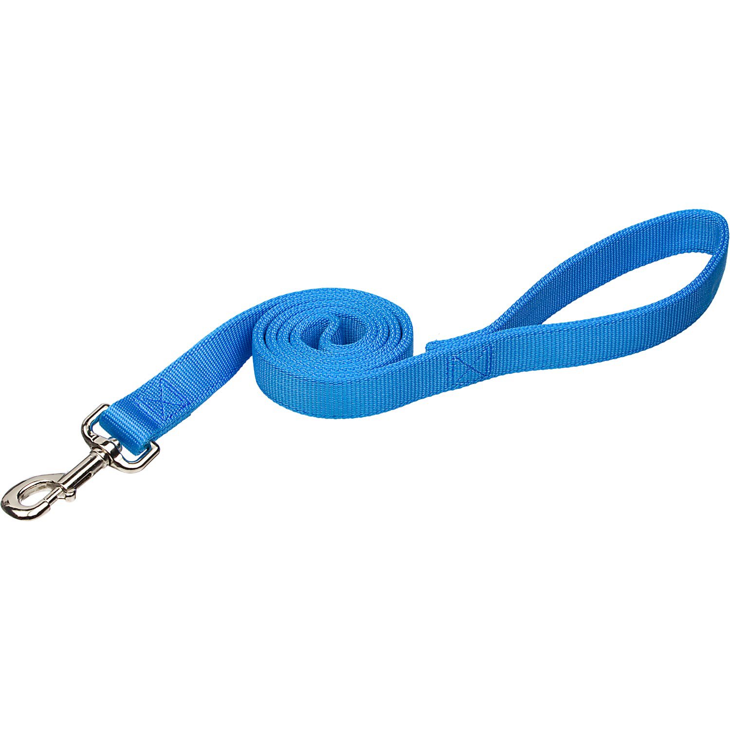 Coastal Pet Double Ply Nylon Personalized Dog Leash In Light Blue 