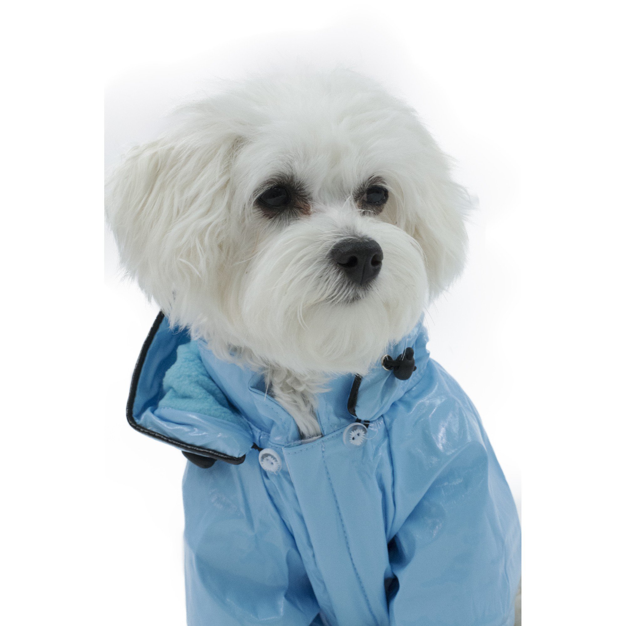 Pet Life Light Blue PVC Raincoat for Dogs | Petco