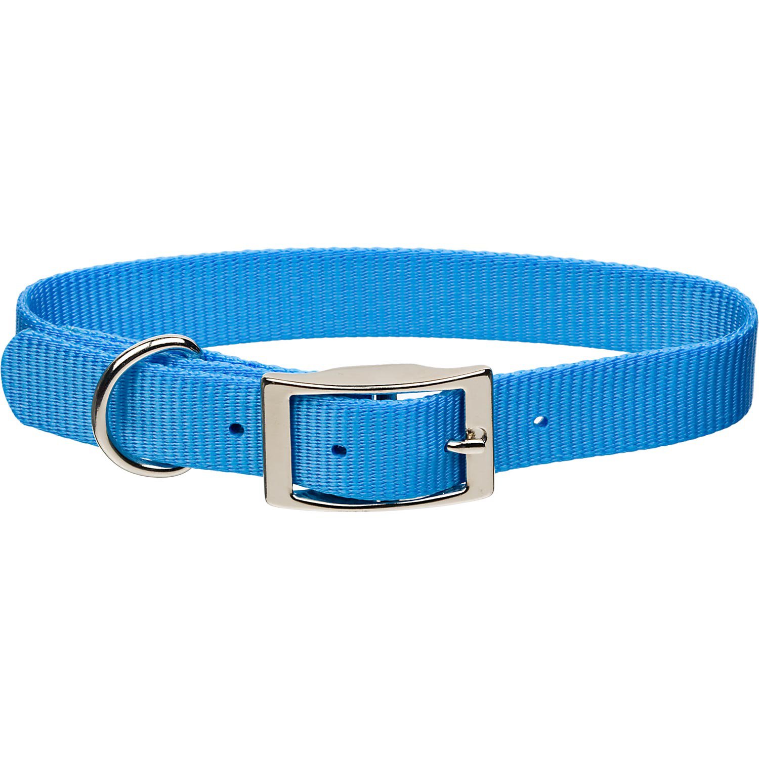 Coastal Pet Metal Buckle Nylon Personalized Dog Collar in Light Blue, 1 ...