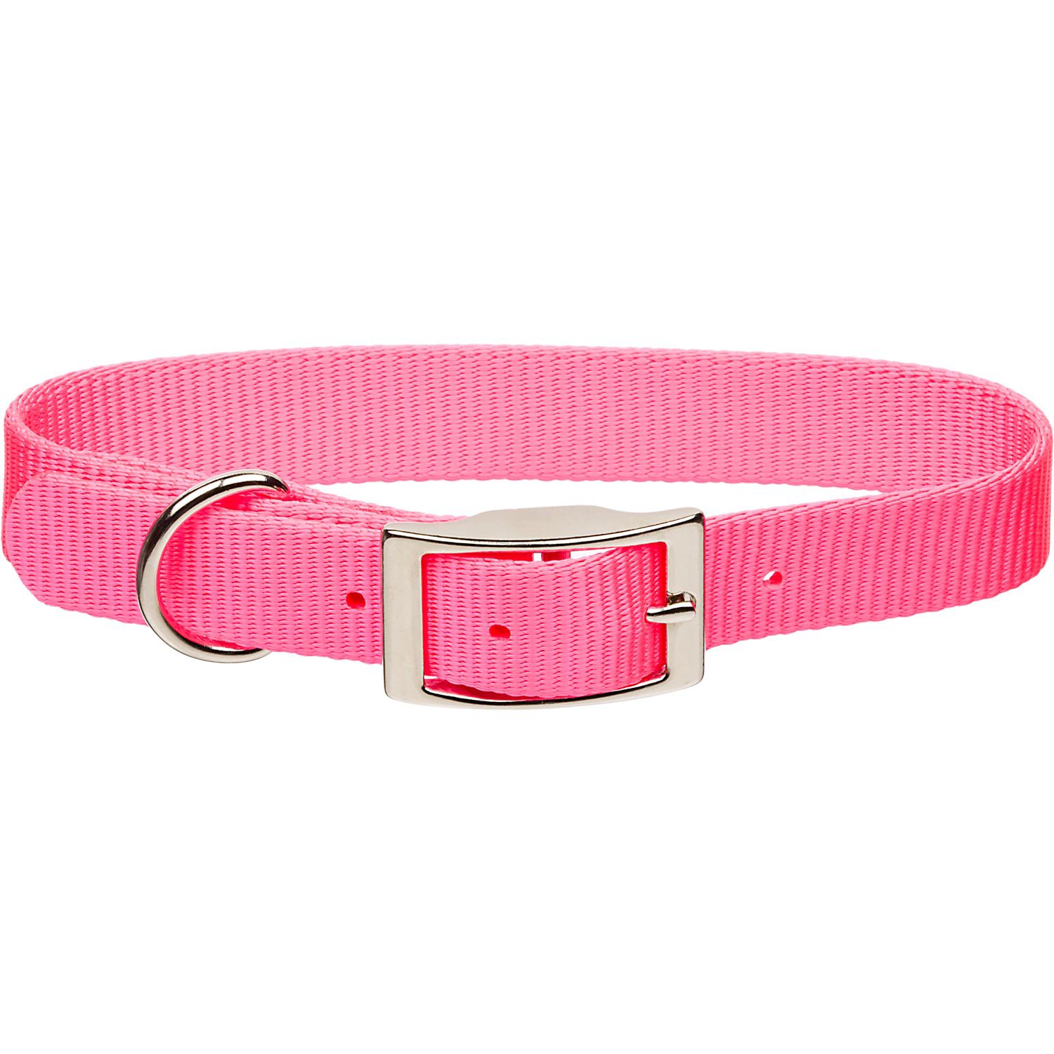 personalized dog collars with metal buckle