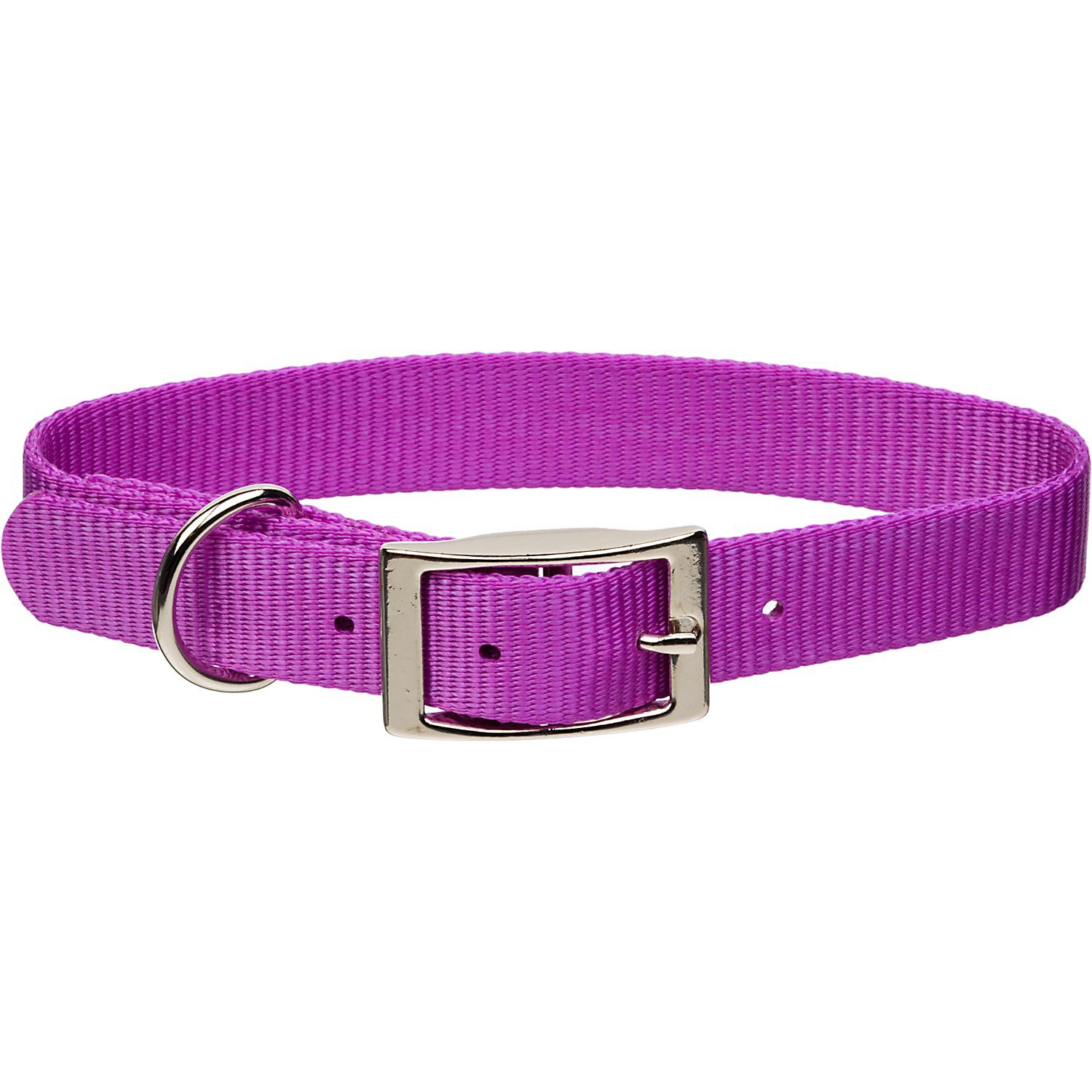 Coastal Pet Metal Buckle Nylon Personalized Dog Collar in Orchid, 1 ...