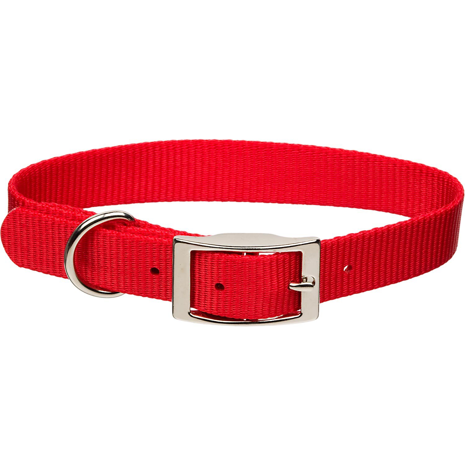 Coastal Pet Metal Buckle Nylon Personalized Dog Collar in Red, 1" Width