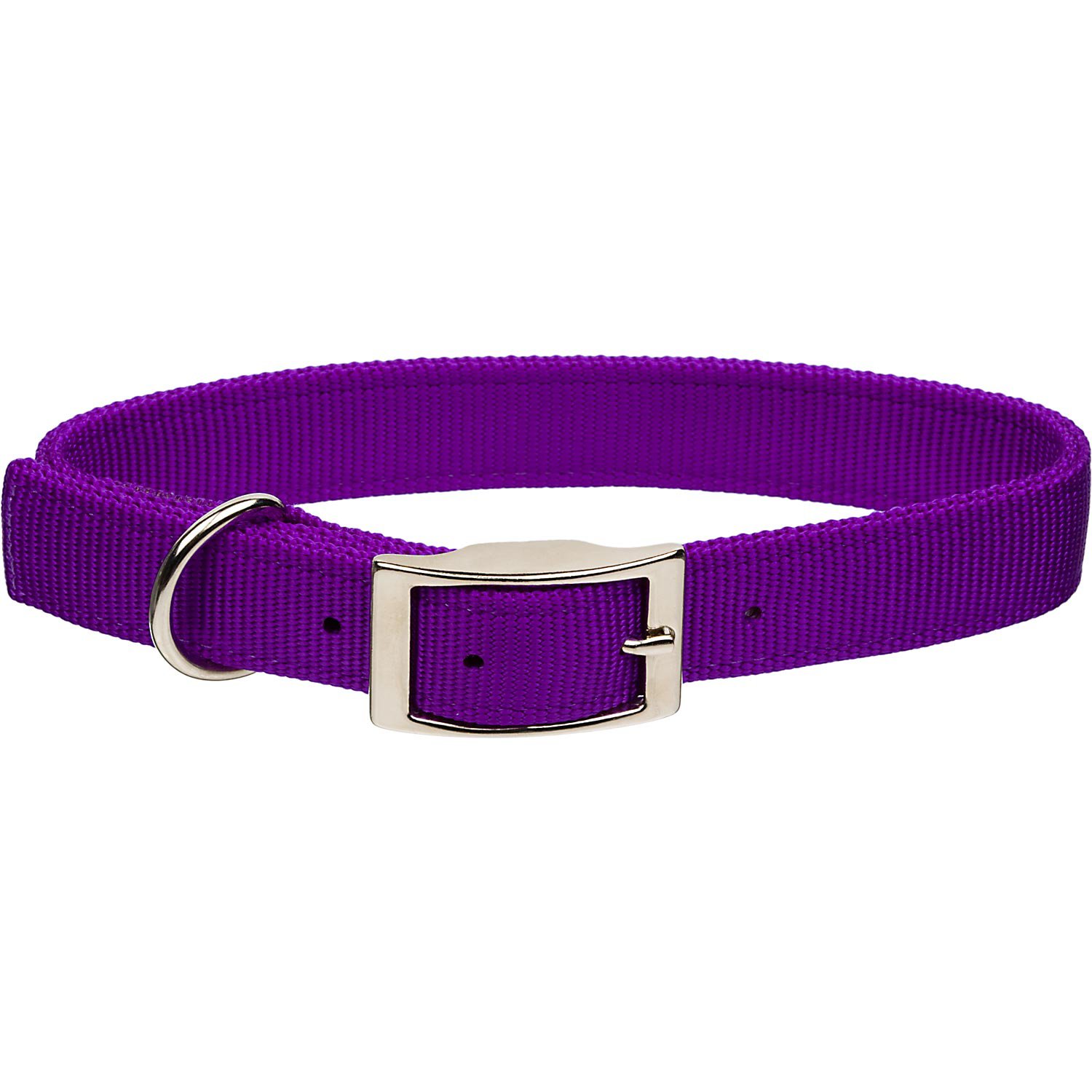 Coastal Pet Metal Buckle Double Ply Nylon Personalized Dog Collar in ...