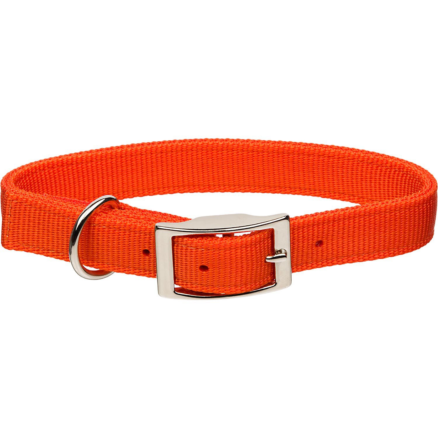 Coastal Pet Metal Buckle Double Ply Nylon Personalized Dog Collar in
