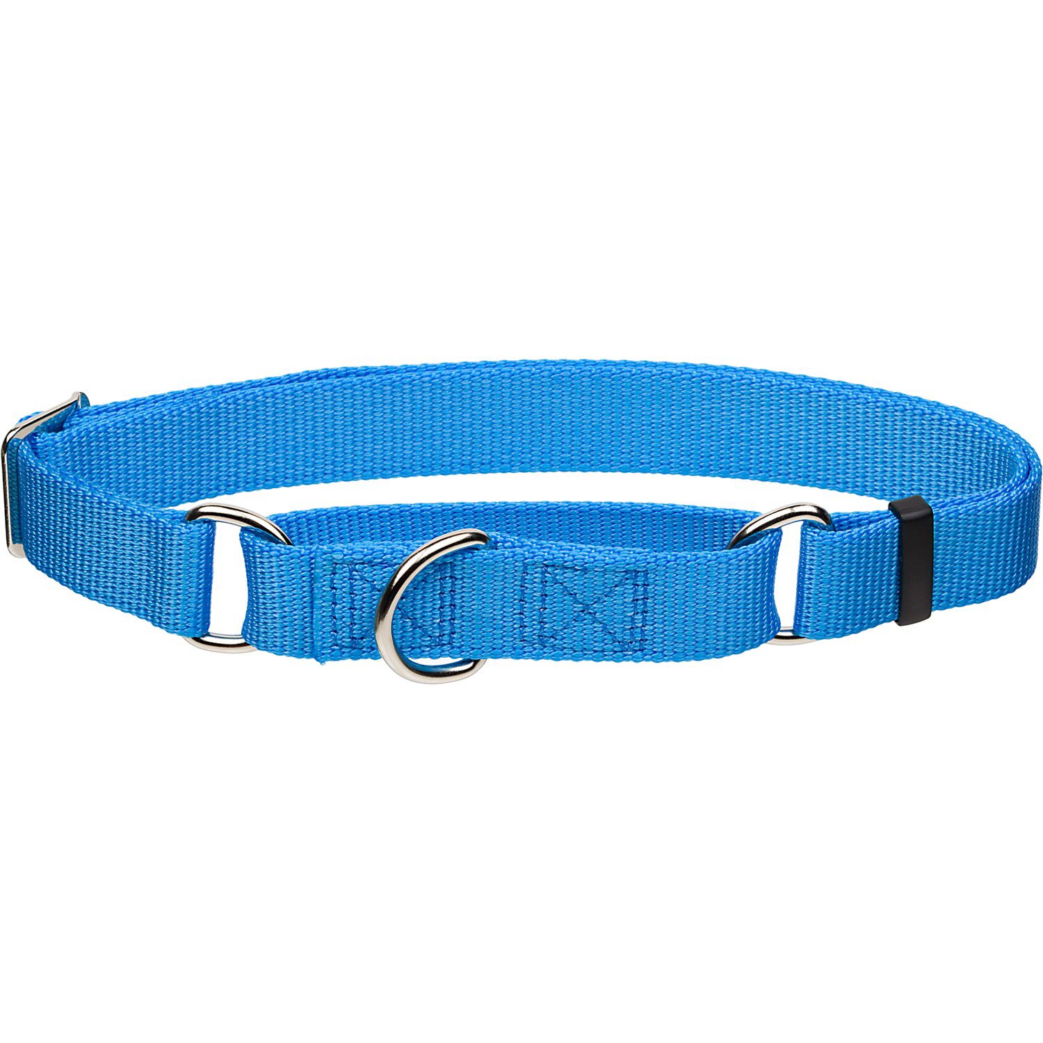 Coastal Pet No Slip Personalized Dog Collar in Light Blue Petco