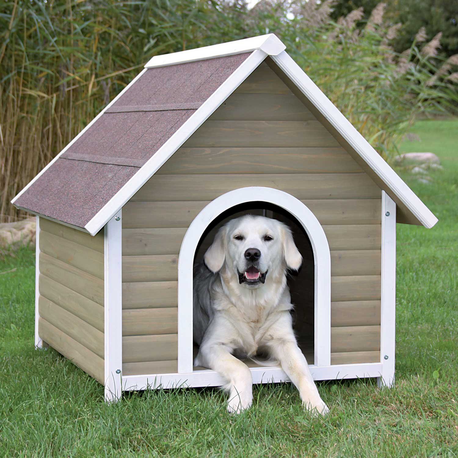 Dog House Pictures