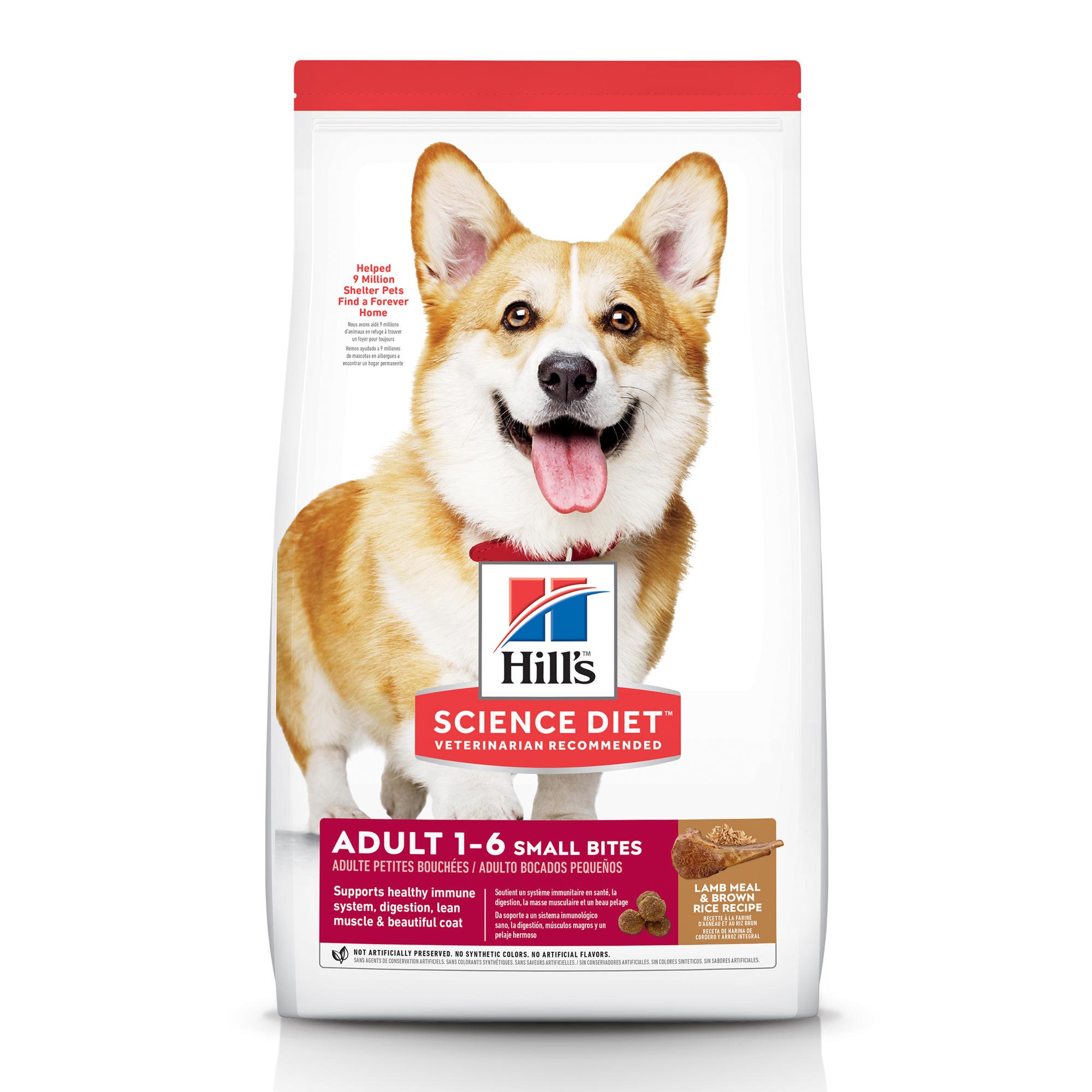 diet dog food