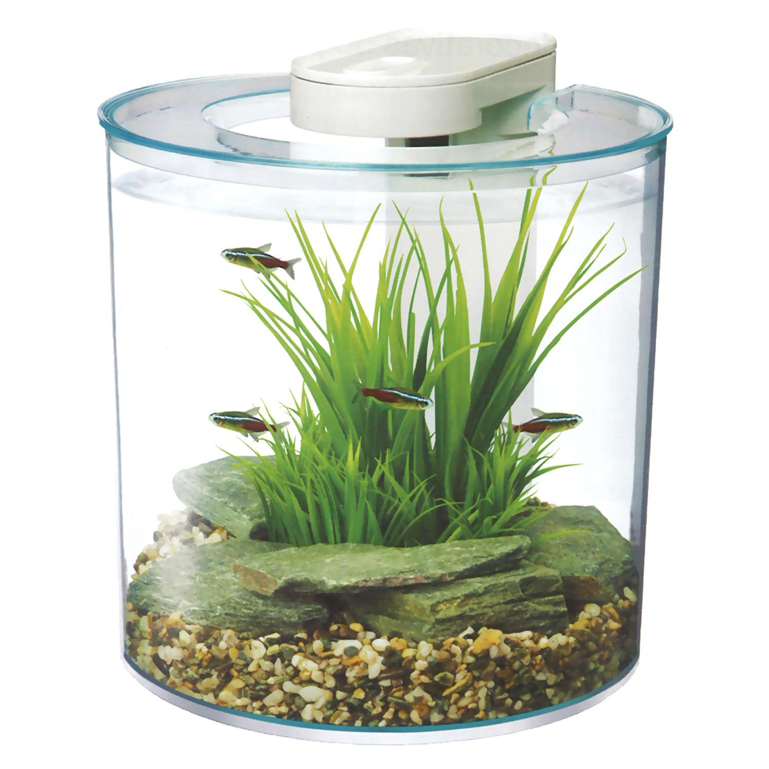 Fish Tanks: Saltwater & Freshwater Aquariums & Supplies | Petco