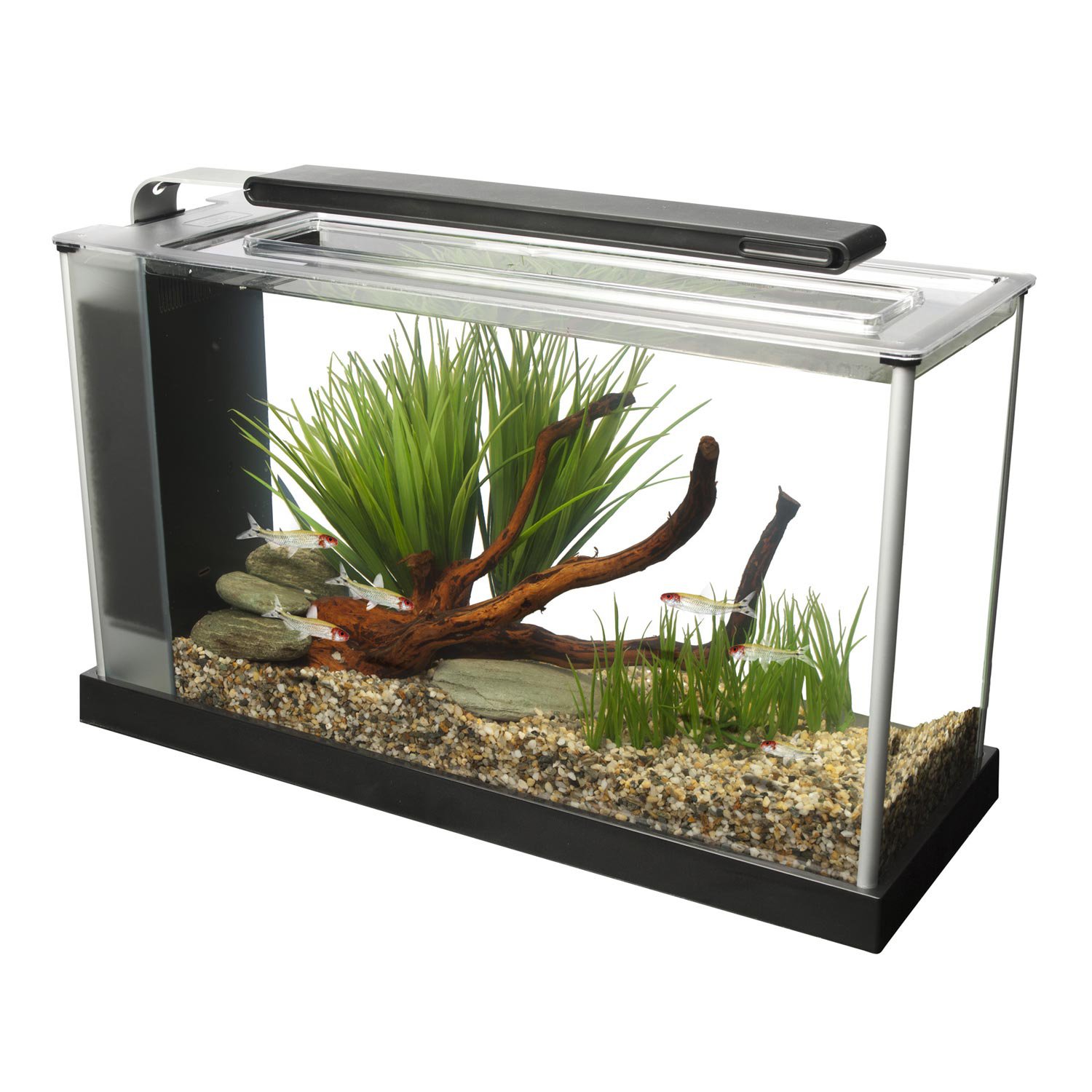 petco 5 gallon aquarium