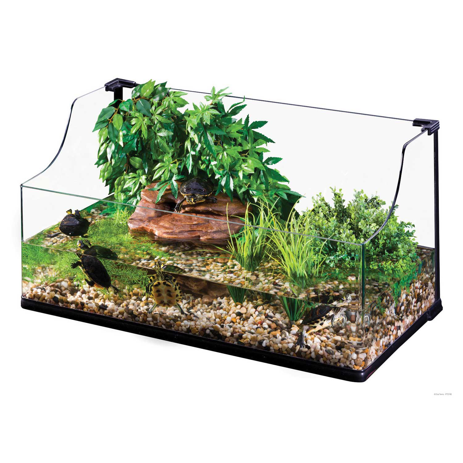 petco turtle tank kit