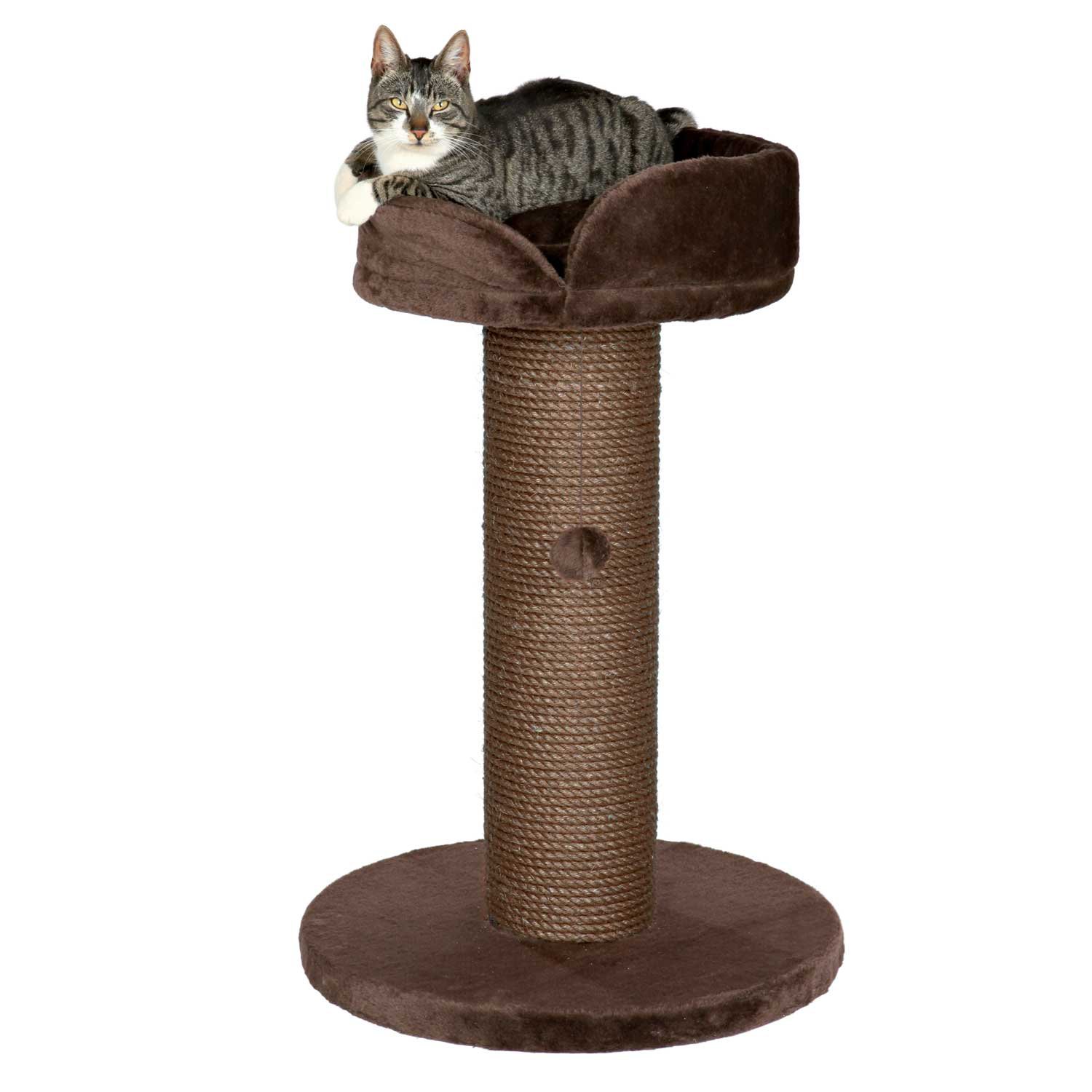 cat scratching post with bed