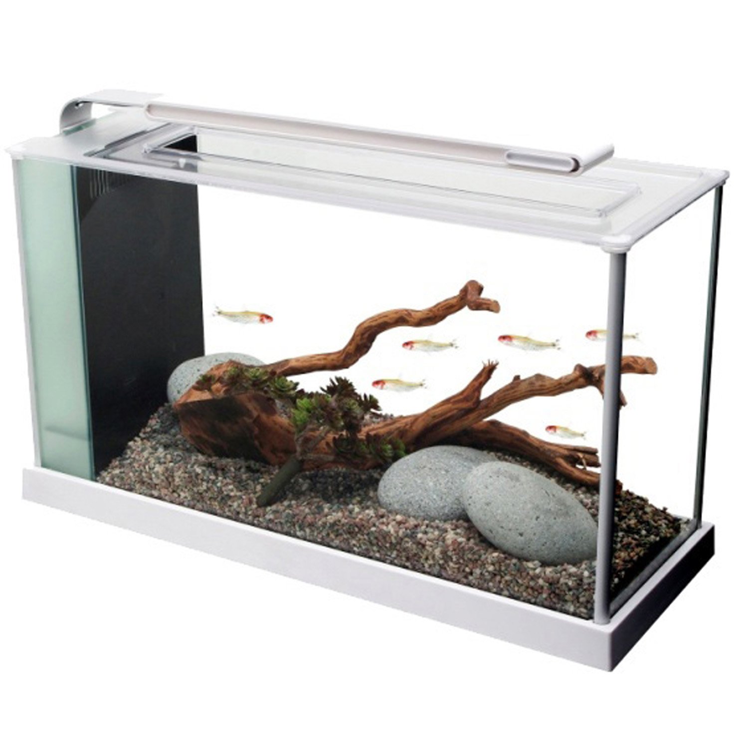 petco 5 gallon aquarium