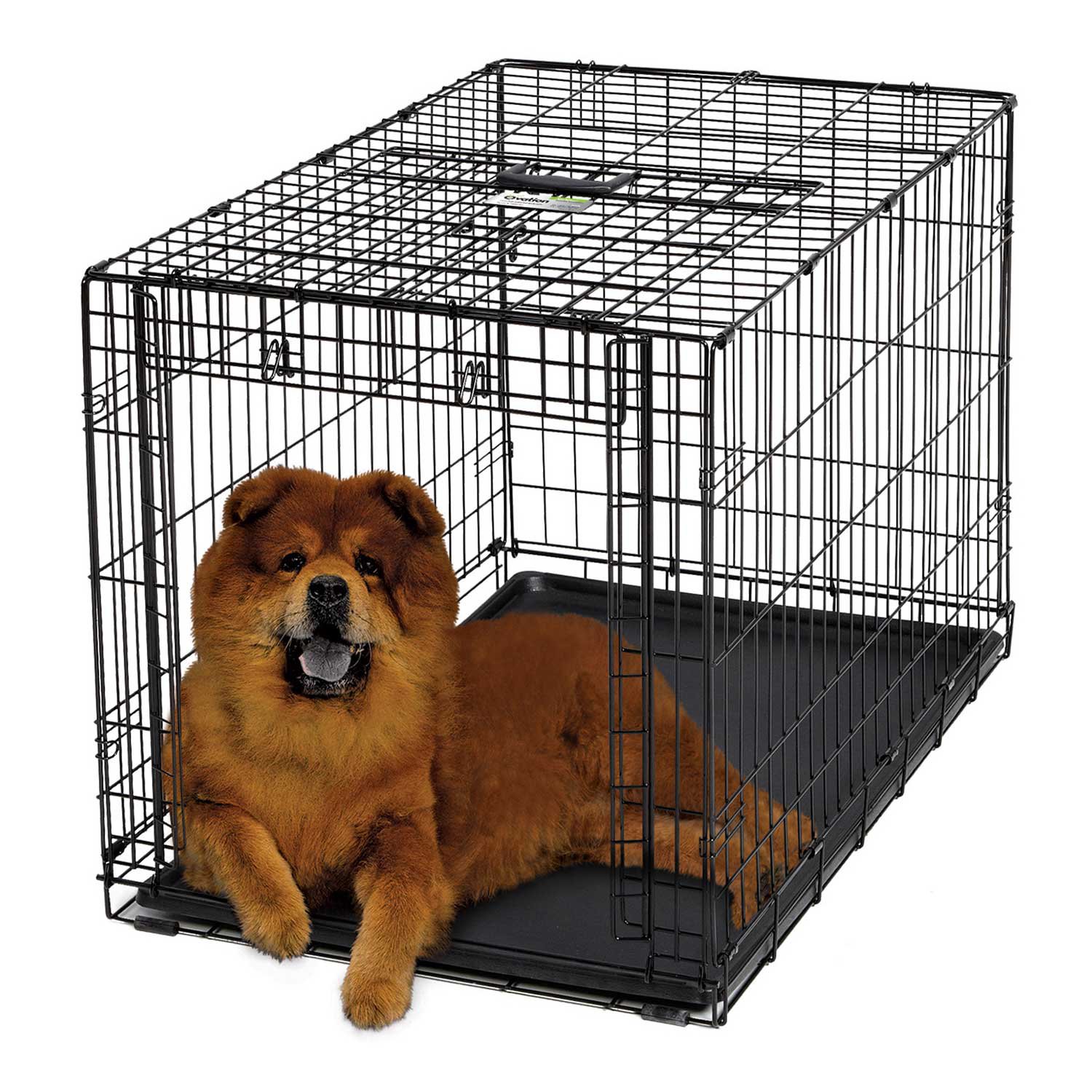 Midwest Ovation Single Door Folding Dog Crate Petco