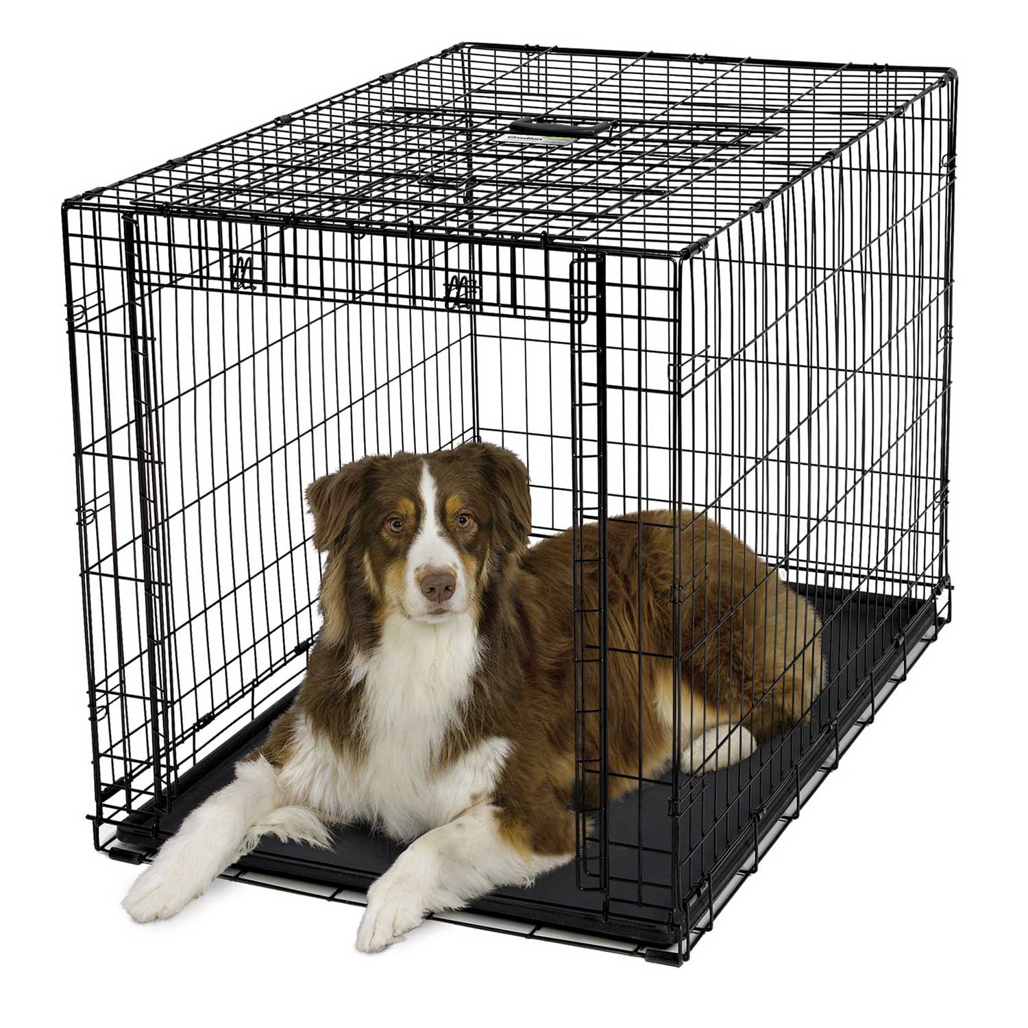Midwest Ovation Single Door Folding Dog Crate | Petco