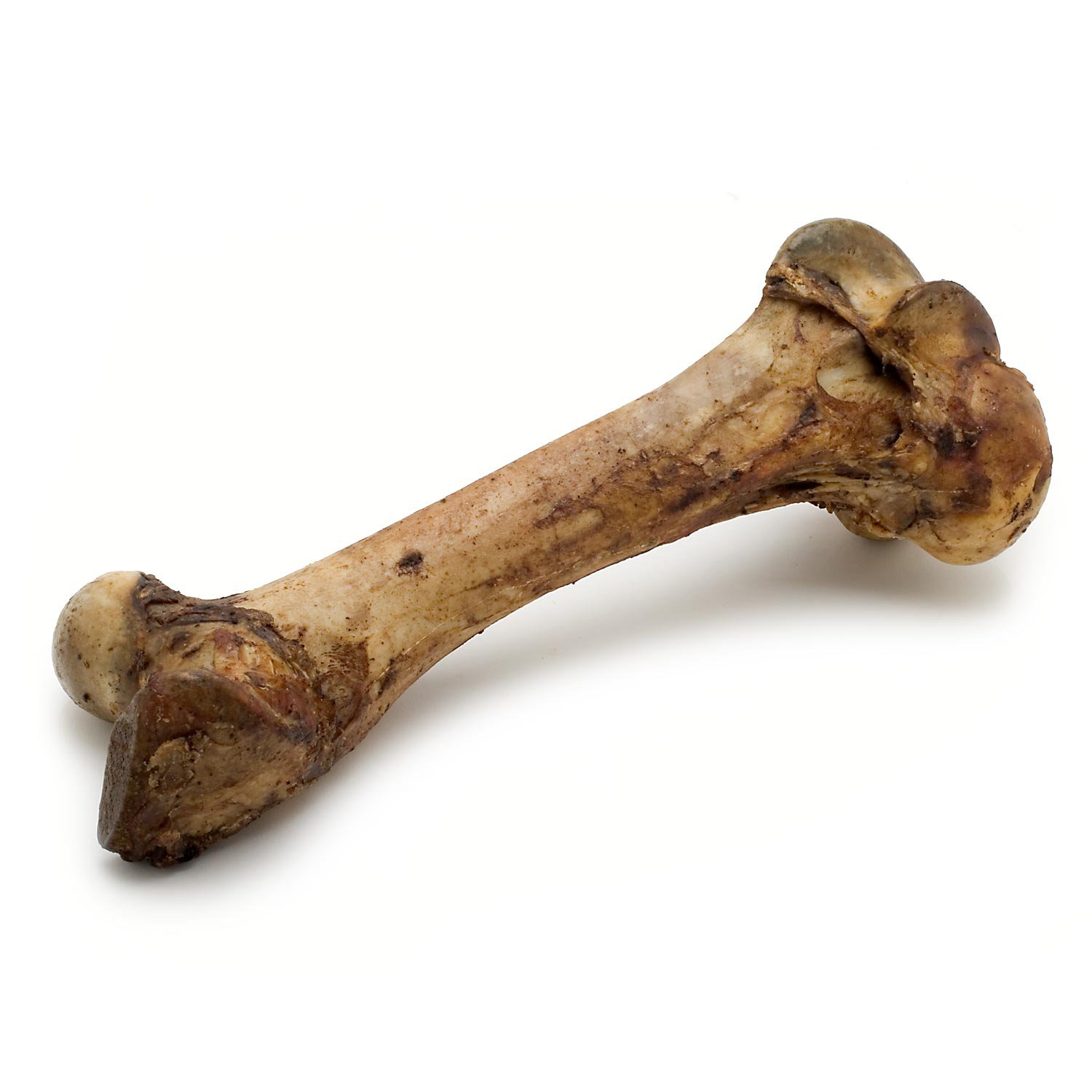 American Prime Cuts Mammoth Dog Bone | Petco