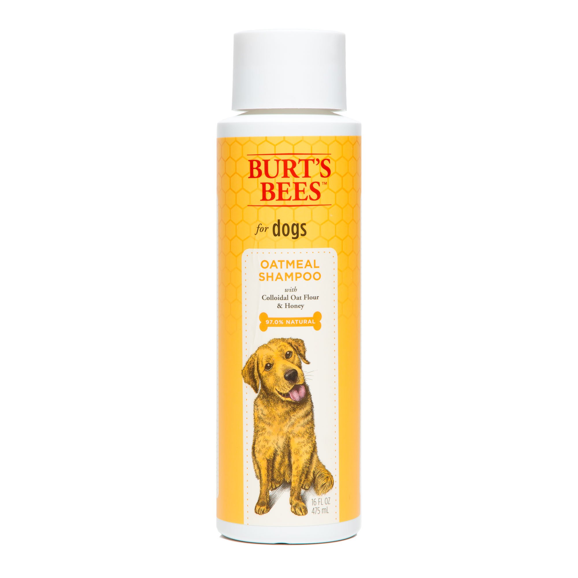 Burt's Bees Oatmeal Dog Shampoo  Petco