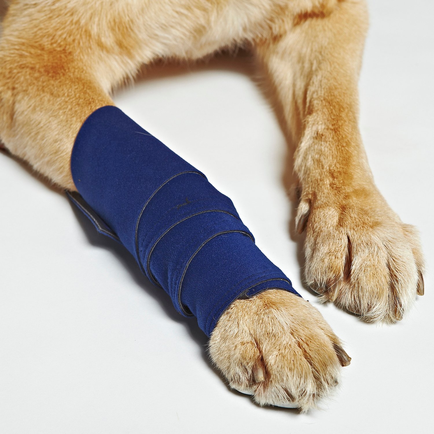 Can You Wrap A Dog S Leg For Support