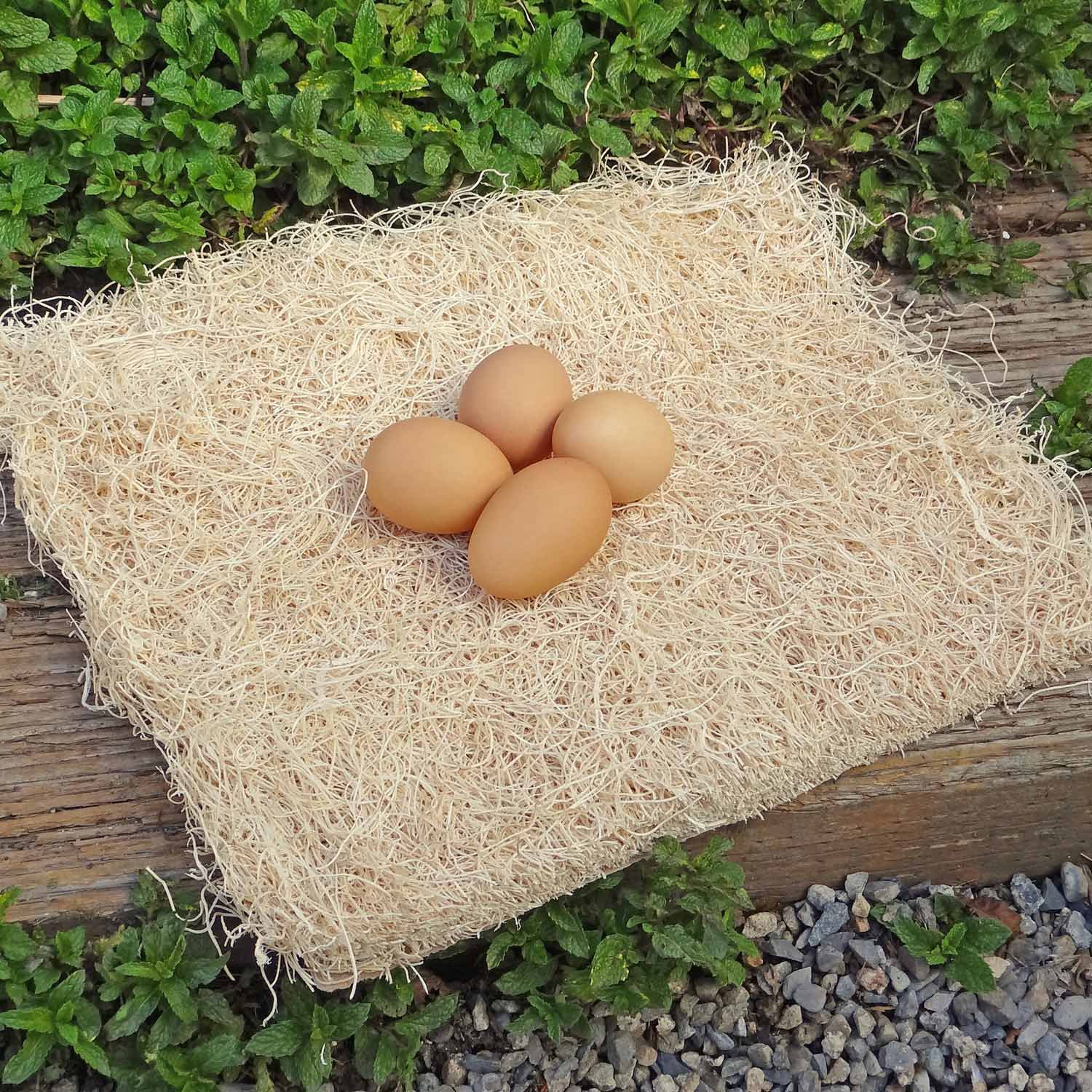 Precision Pet Excelsior Chicken Nesting Pads Petco