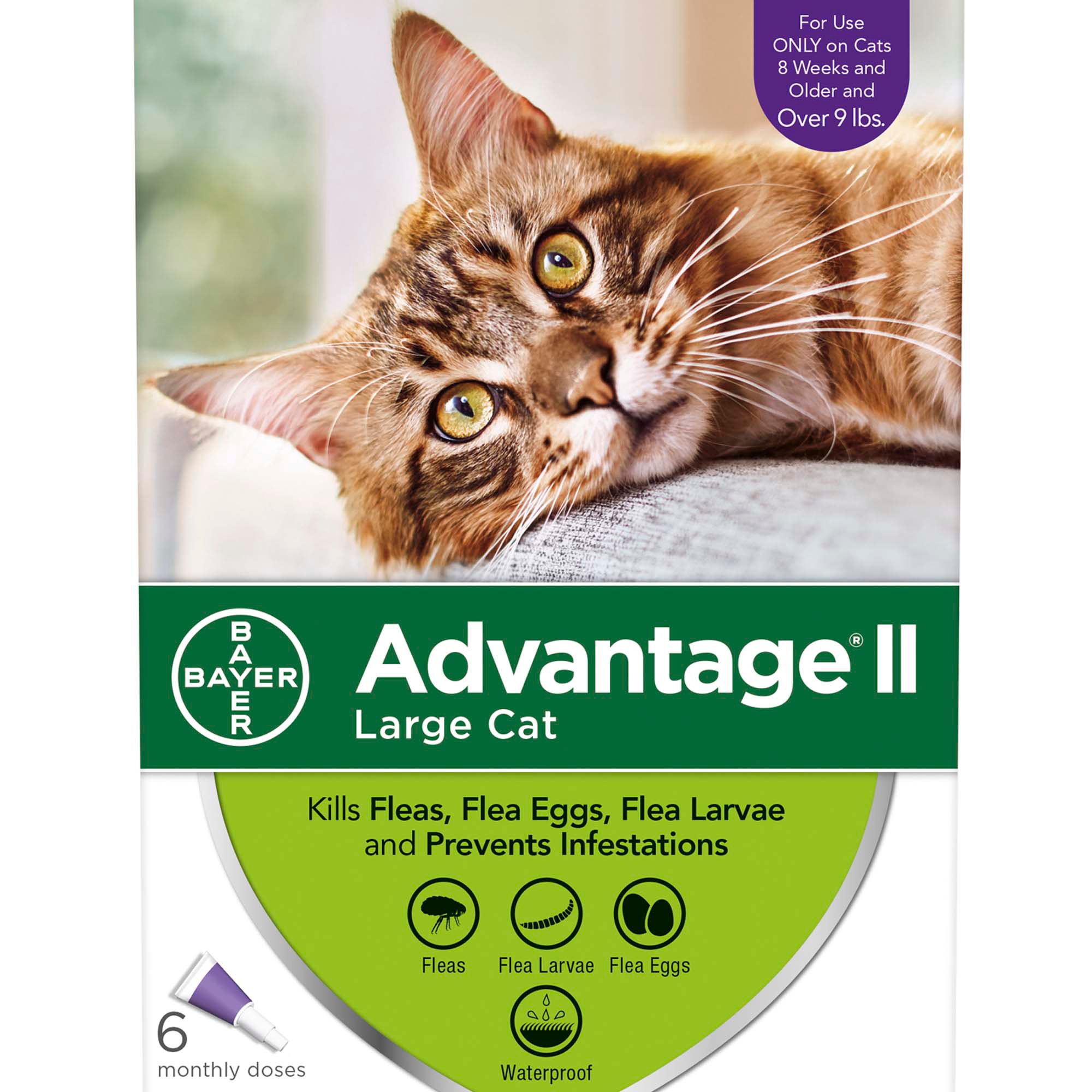 Advantage II OnceAMonth Cat & Kitten Topical Flea Treatment Over 9
