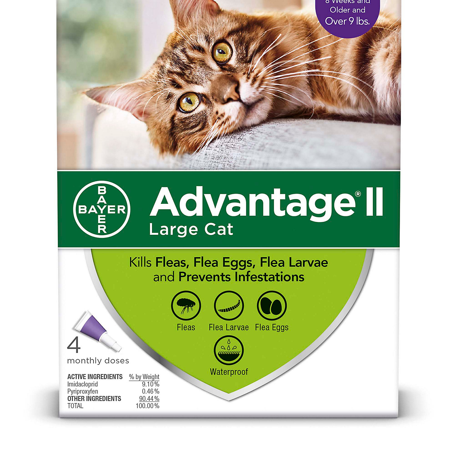 Advantage Ii Once A Month Topical Large Cat Flea Treatment 4 Mo. Over 9 Lbs. Advantage Ii Once A Month Topical Large Cat Flea Treatment 4 Mo. Over 9 Lbs.