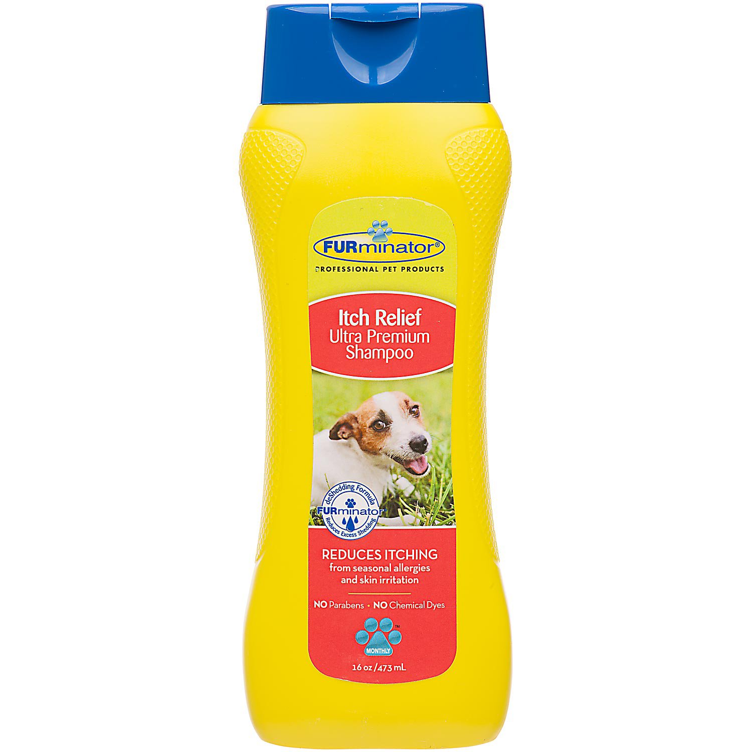 itchy dog shampoo