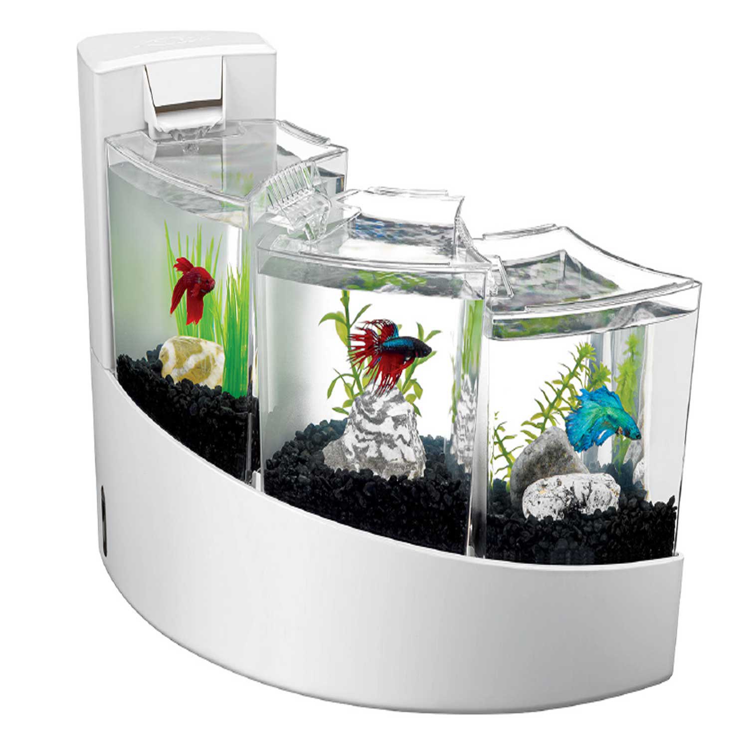 Aqueon 2 Gallon Betta  Falls Aquarium  Kit White Shop 