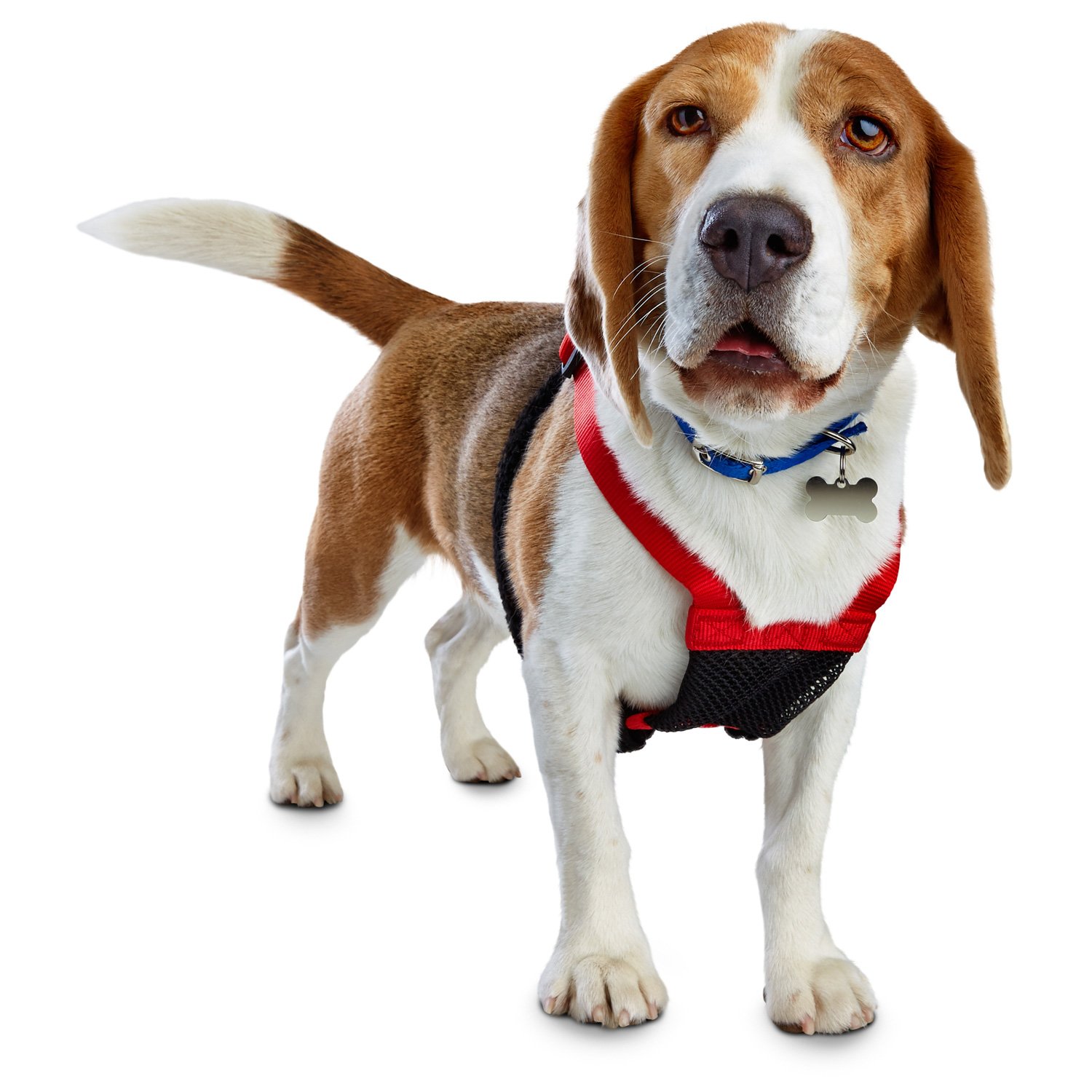 Good2Go Red No Pull Dog Harness | Petco