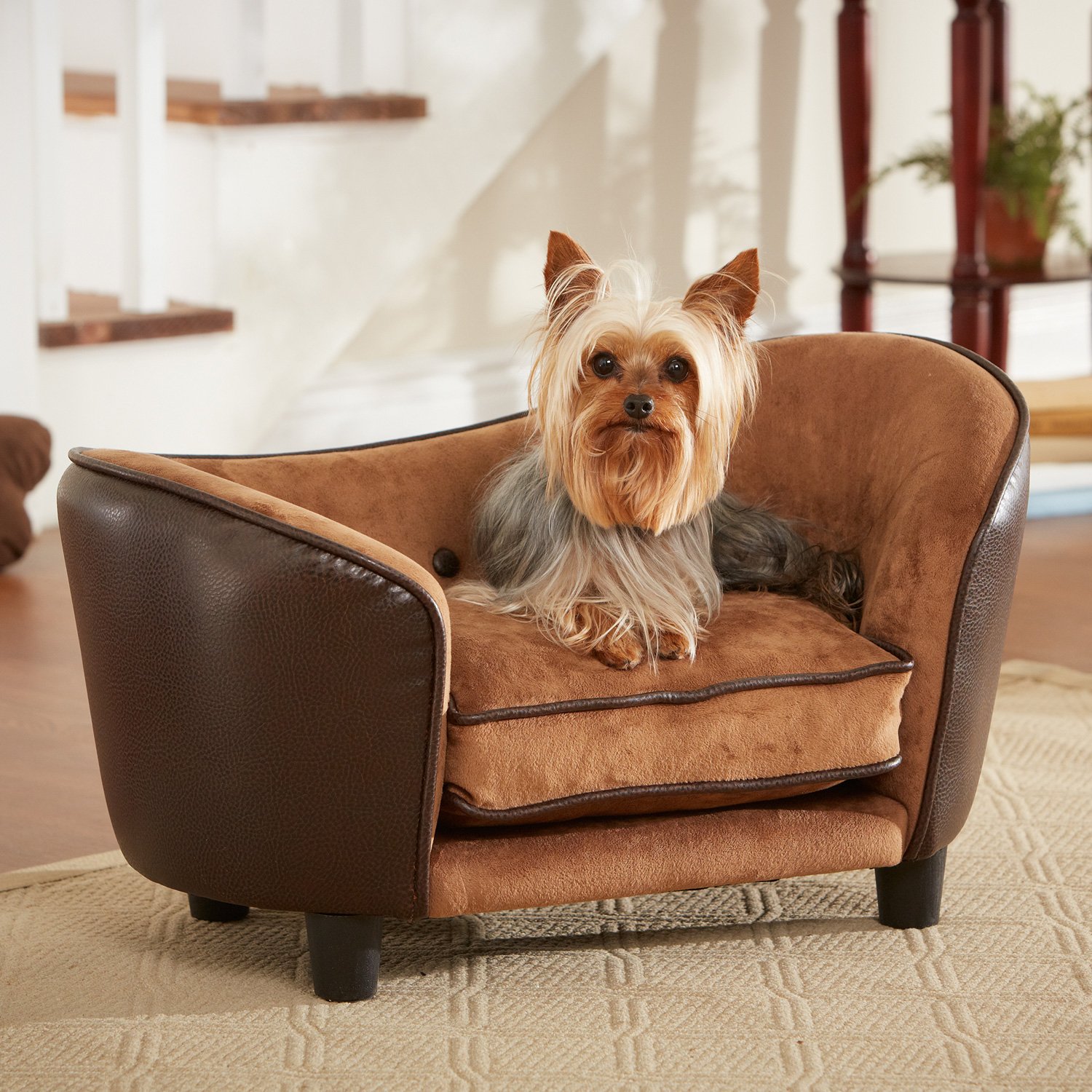 Mini Sofa Dog Bed Baci Living Room