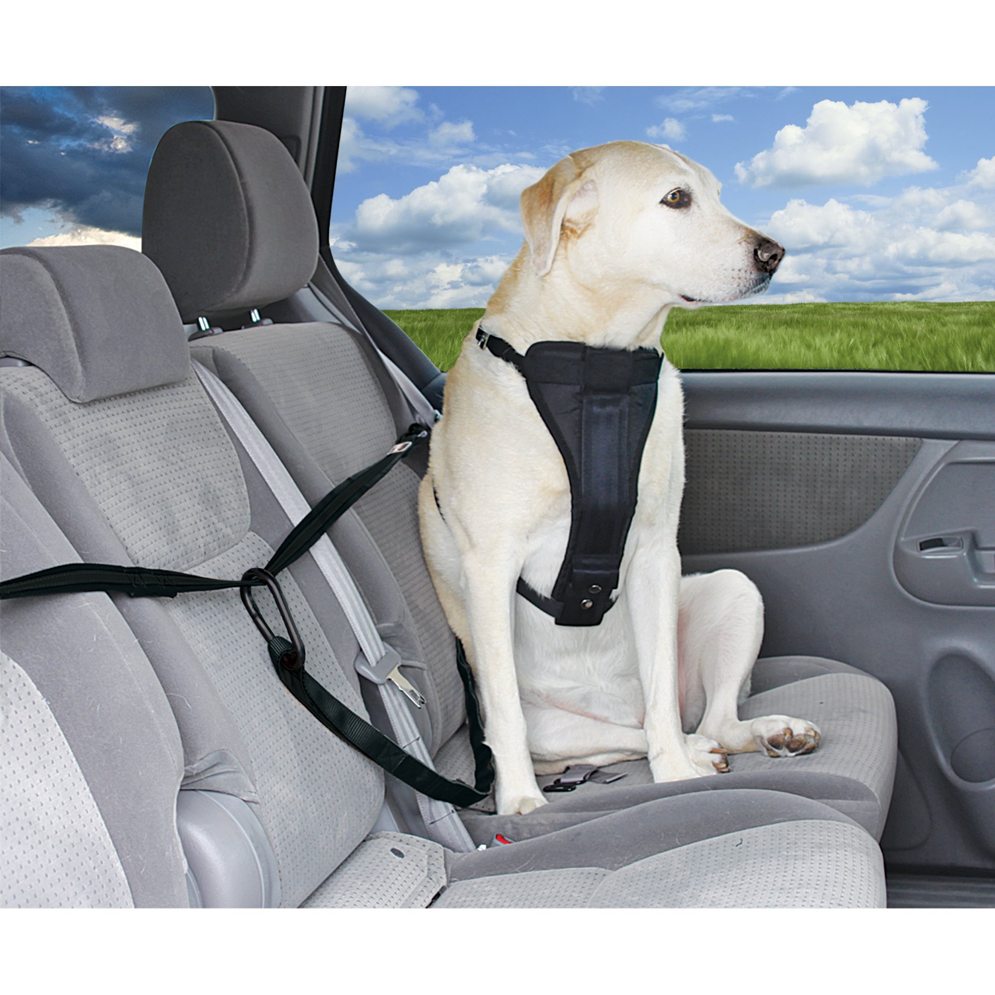 seat belt adapter for dogs