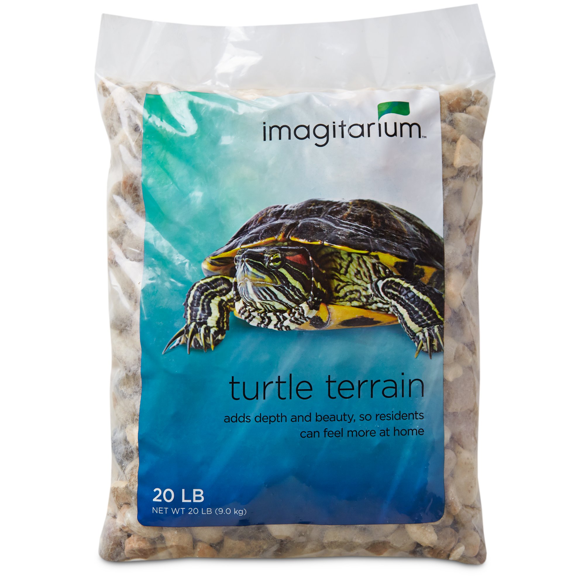 baby turtles for sale at petco