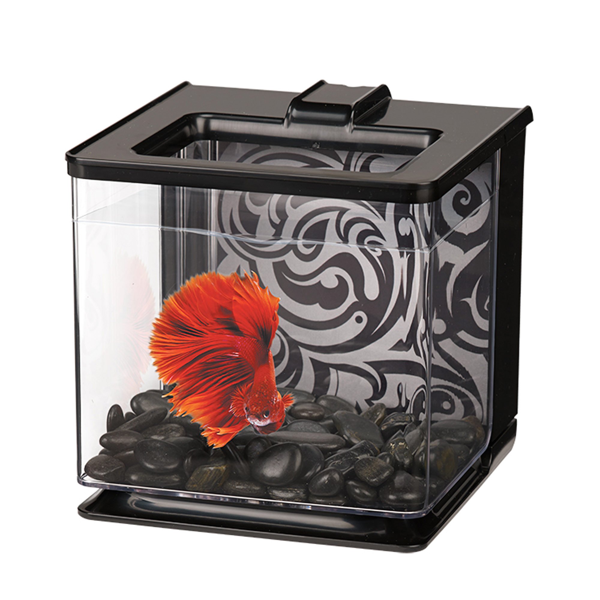 Marina Betta EZ Care Black Aquarium Kit Petco